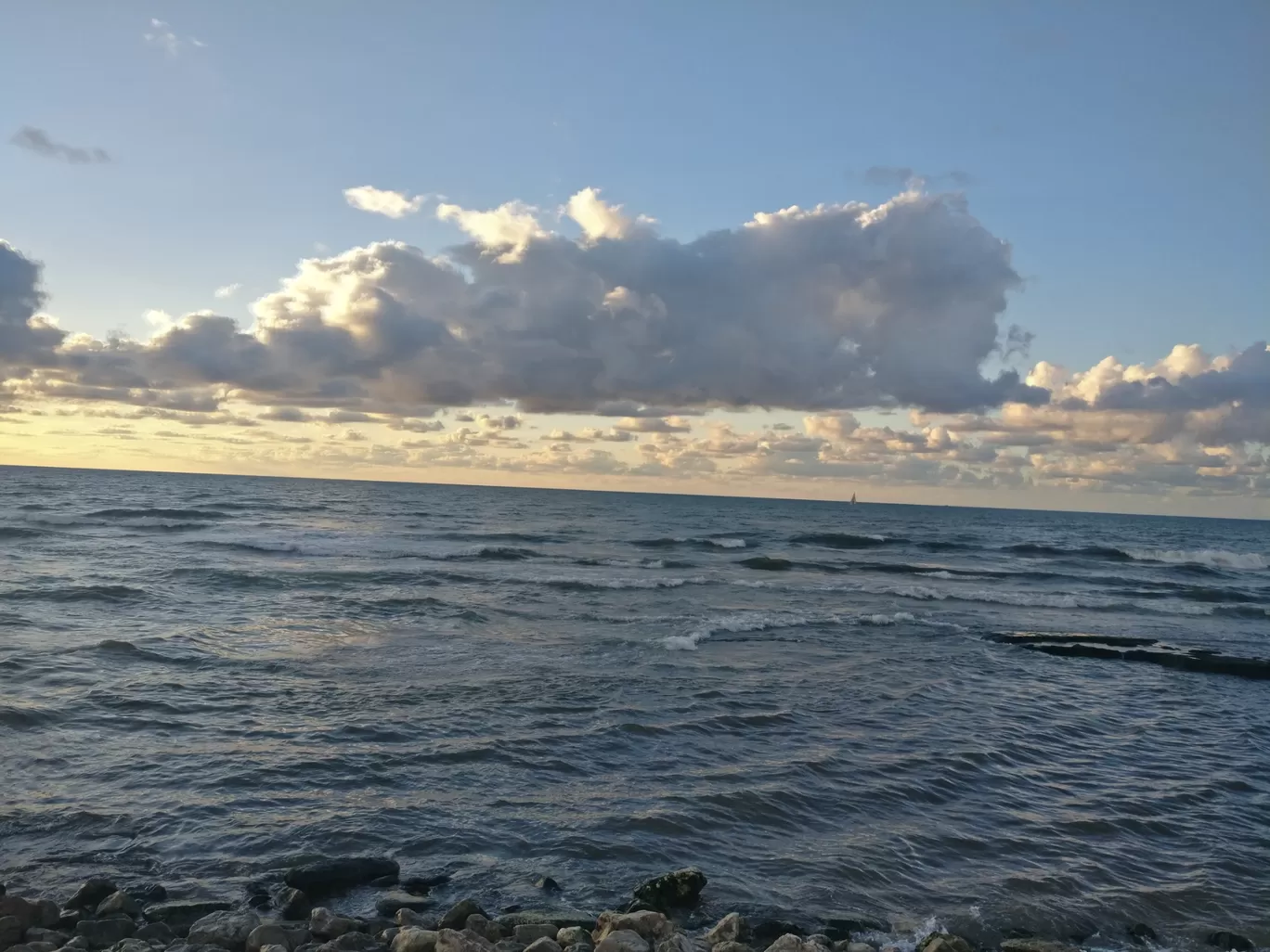 Photo of Tel-Aviv Port By Neha jain