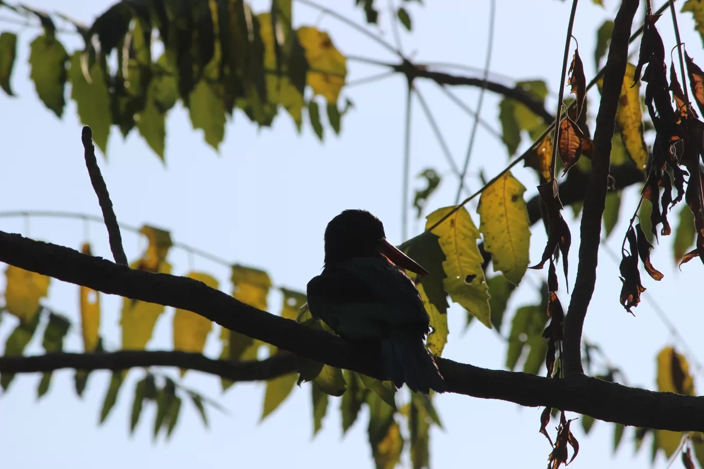 Photo of Smriti Van Pond By Neha jain