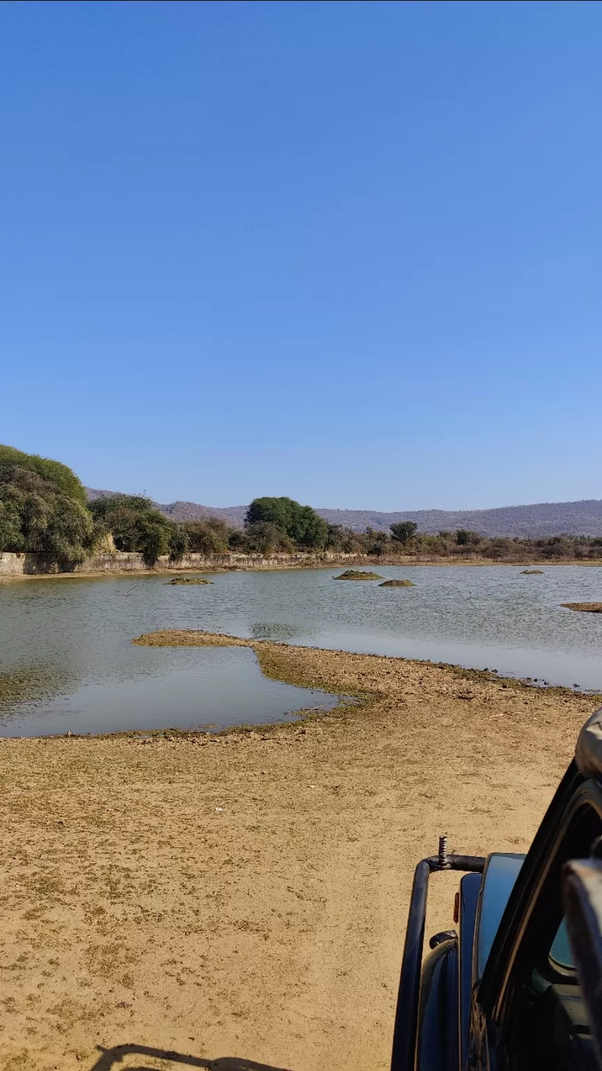 Photo of Sariska Tiger Reserve By Neha jain