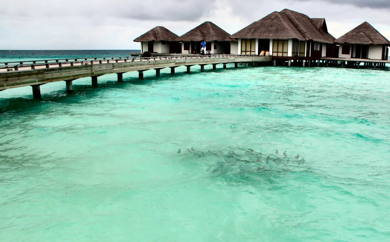 Photo of Maldives By lens_nirvana