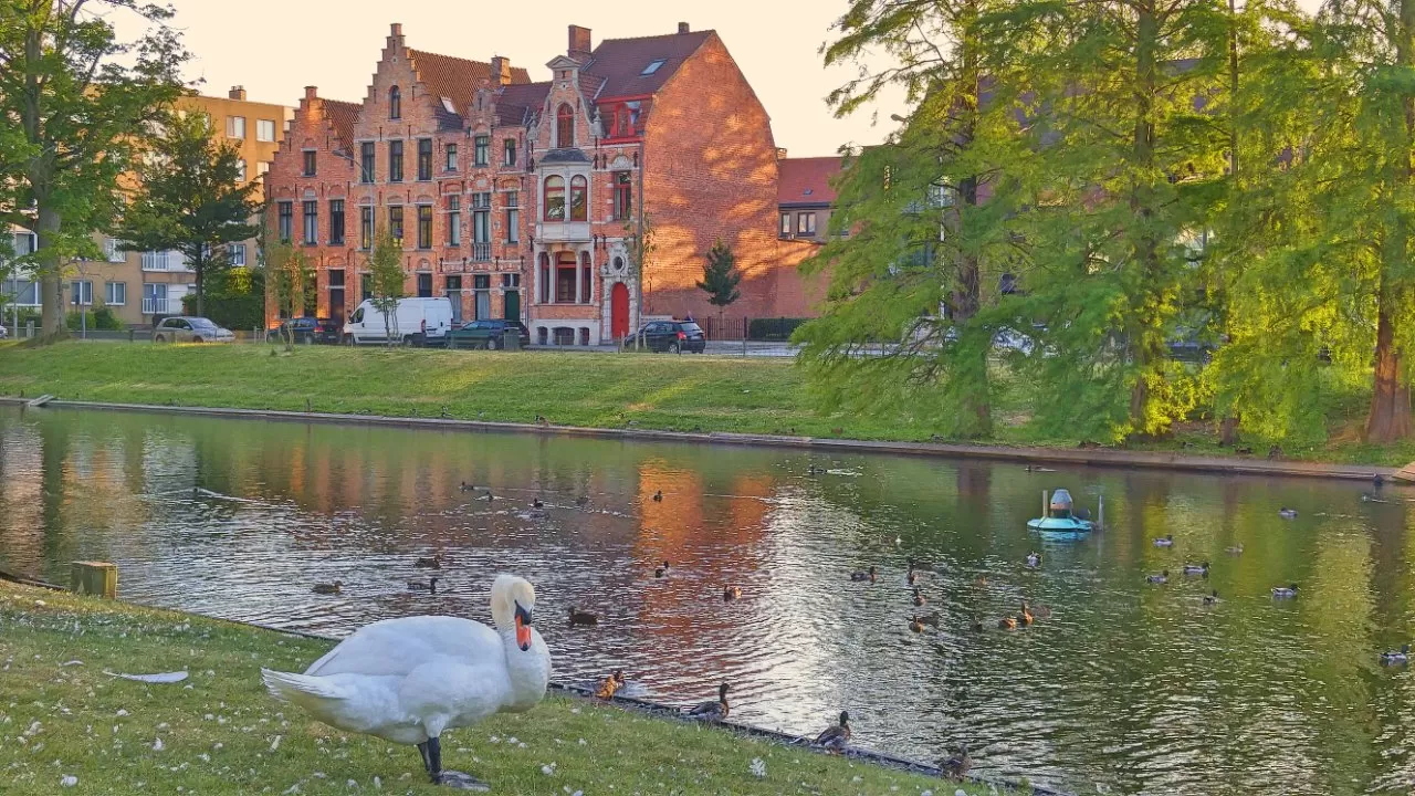 Photo of Bruges By lens_nirvana