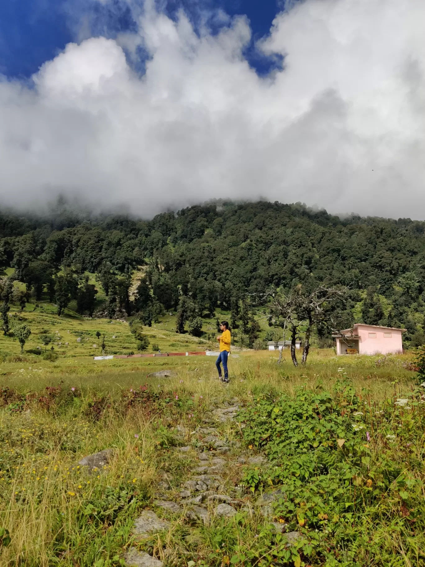 Photo of Munsyari By Shubhankar Yadav