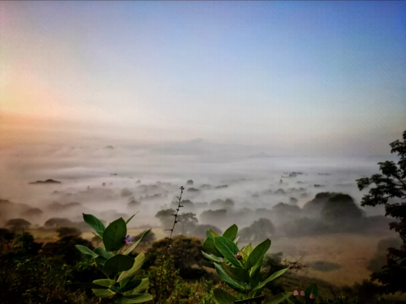 Photo of Tikona Fort (Vitandgad) By travelwithmeeta