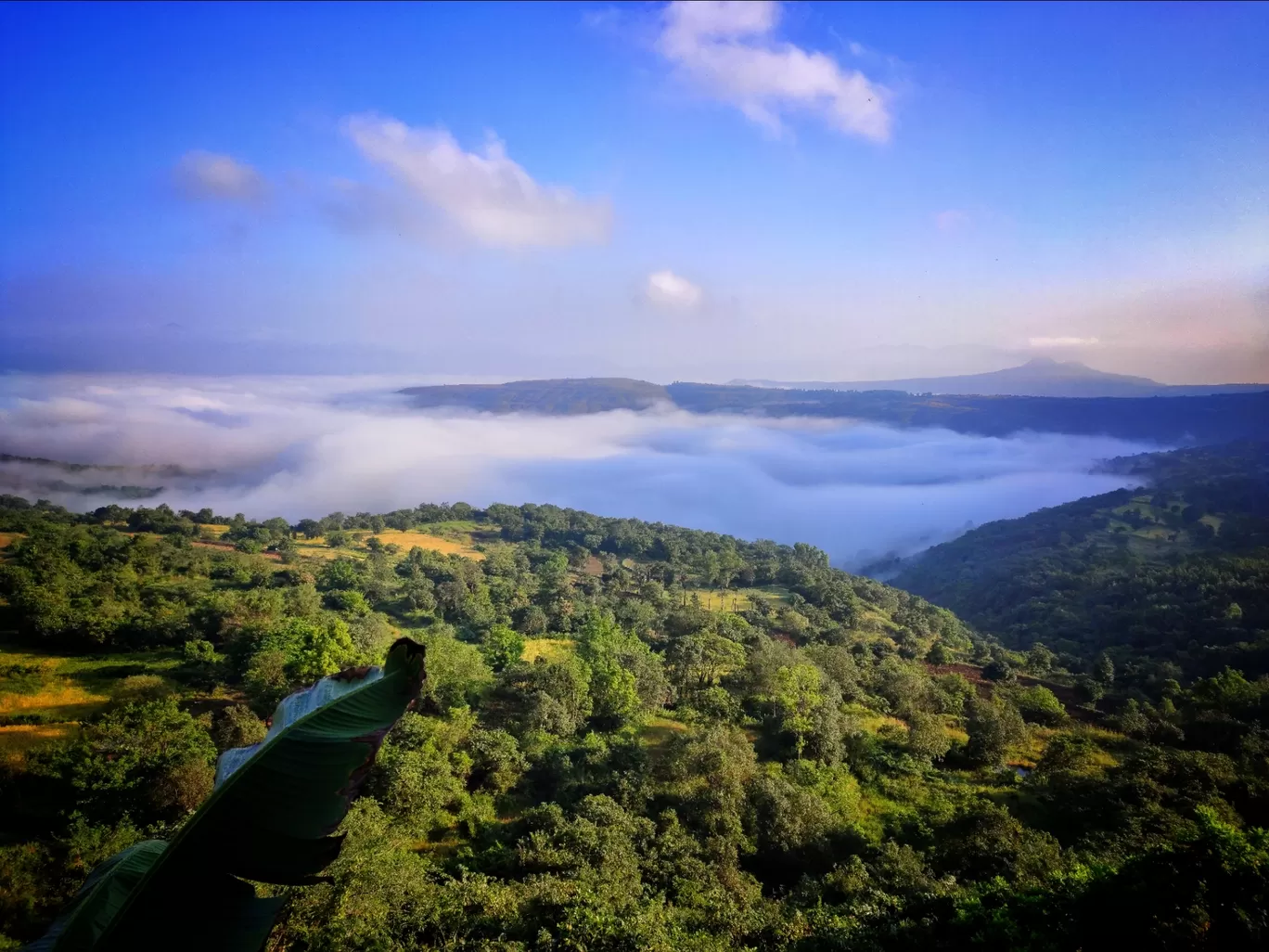 Photo of Tikona Fort (Vitandgad) By travelwithmeeta