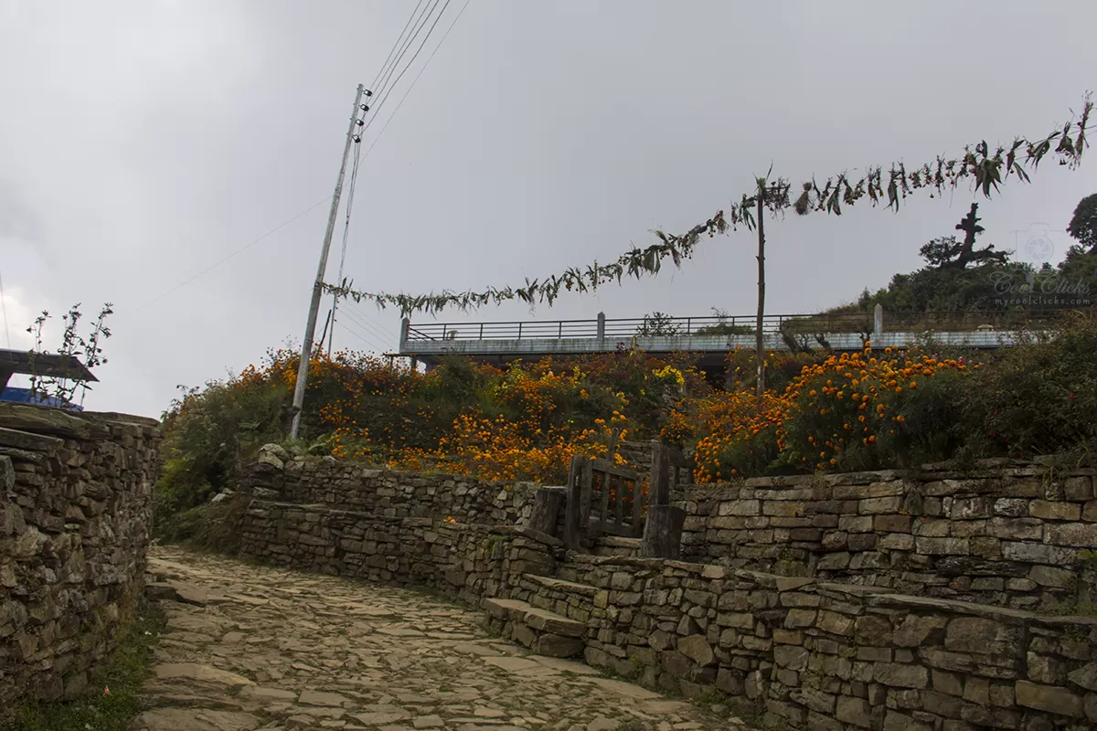 Photo of Mardi Himal Base Camp By Eleutheromaniac