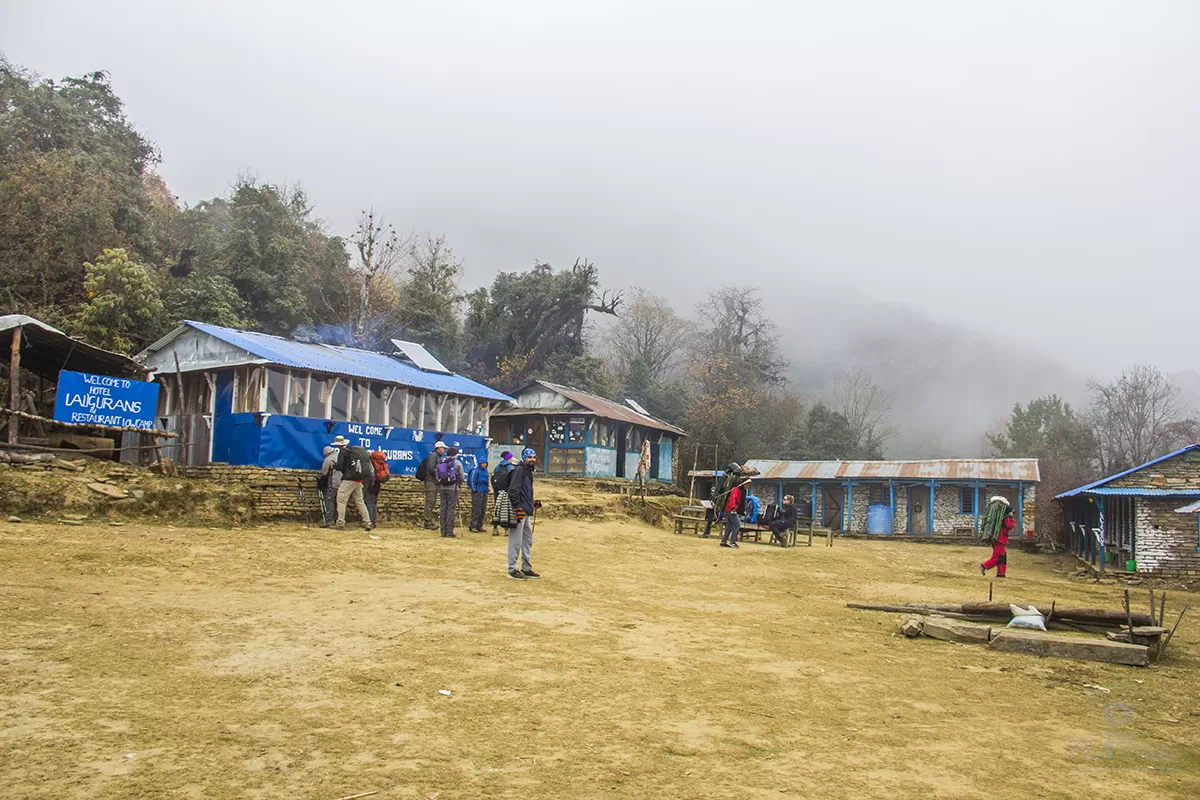 Photo of Mardi Himal Base Camp By Eleutheromaniac