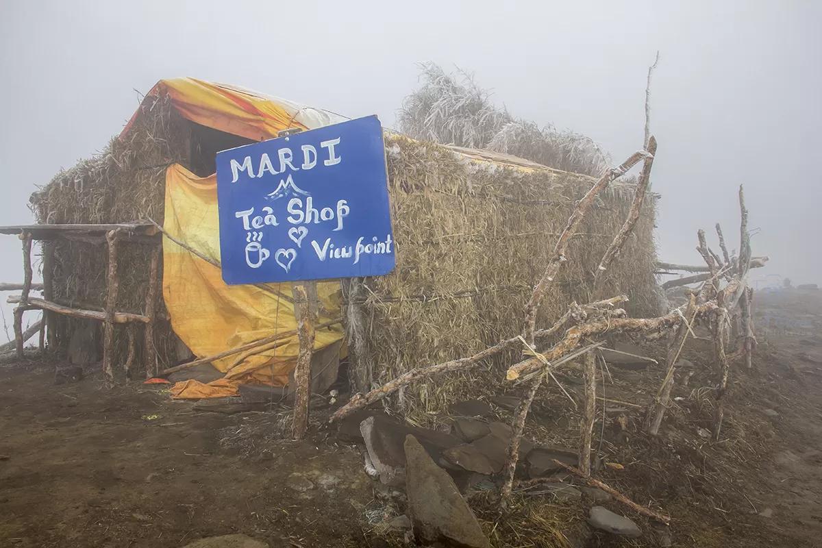 Photo of Mardi Himal Base Camp By Eleutheromaniac