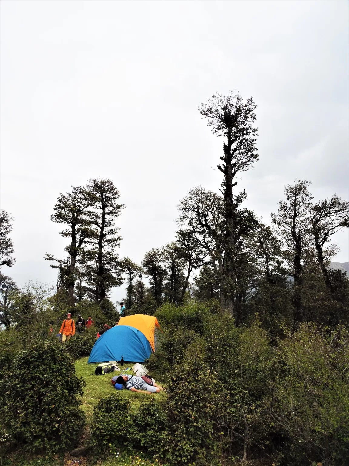 Photo of Shepherd Trails of Great Himalayan Range By Dinesh Kumar