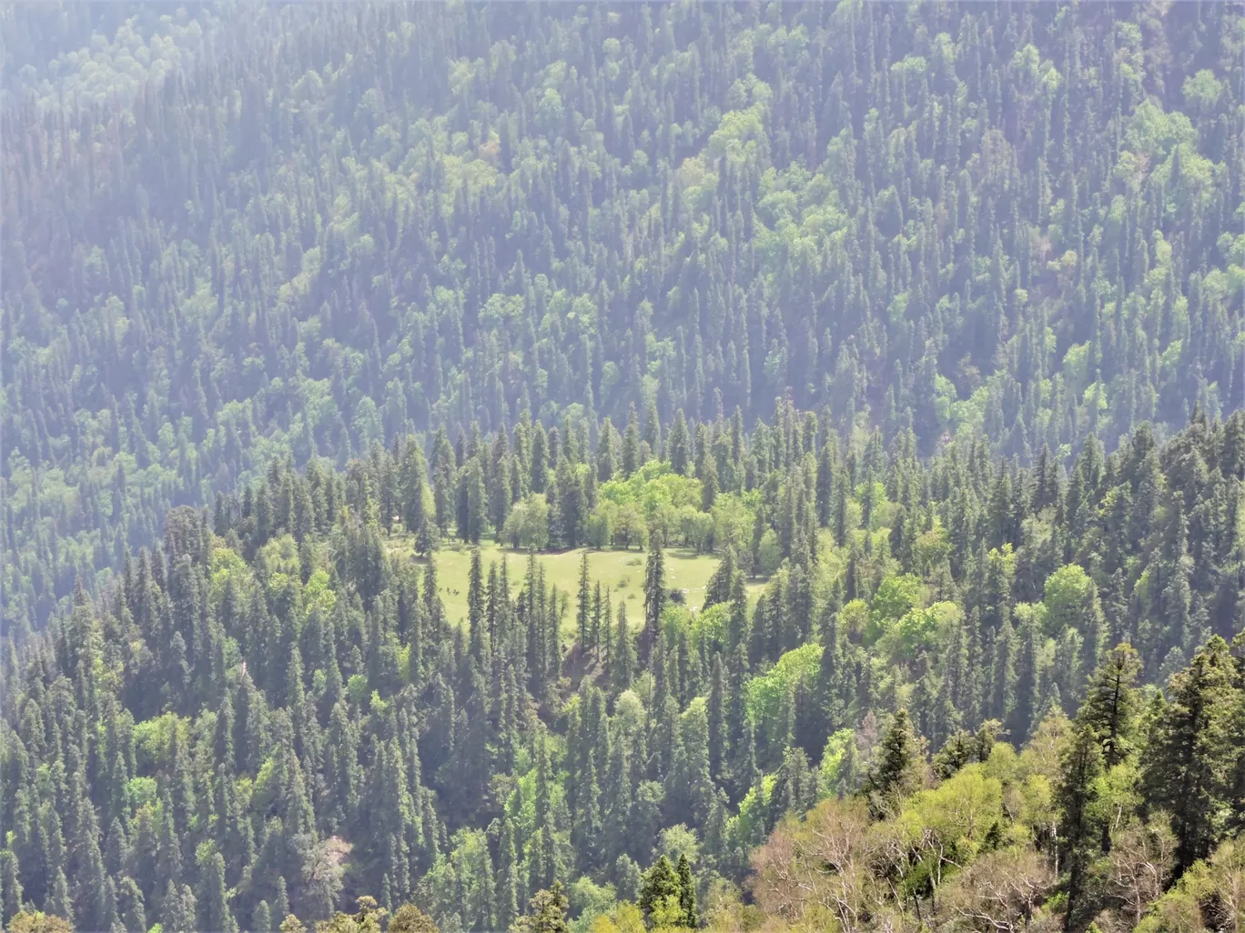 Photo of Shepherd Trails of Great Himalayan Range By Dinesh Kumar