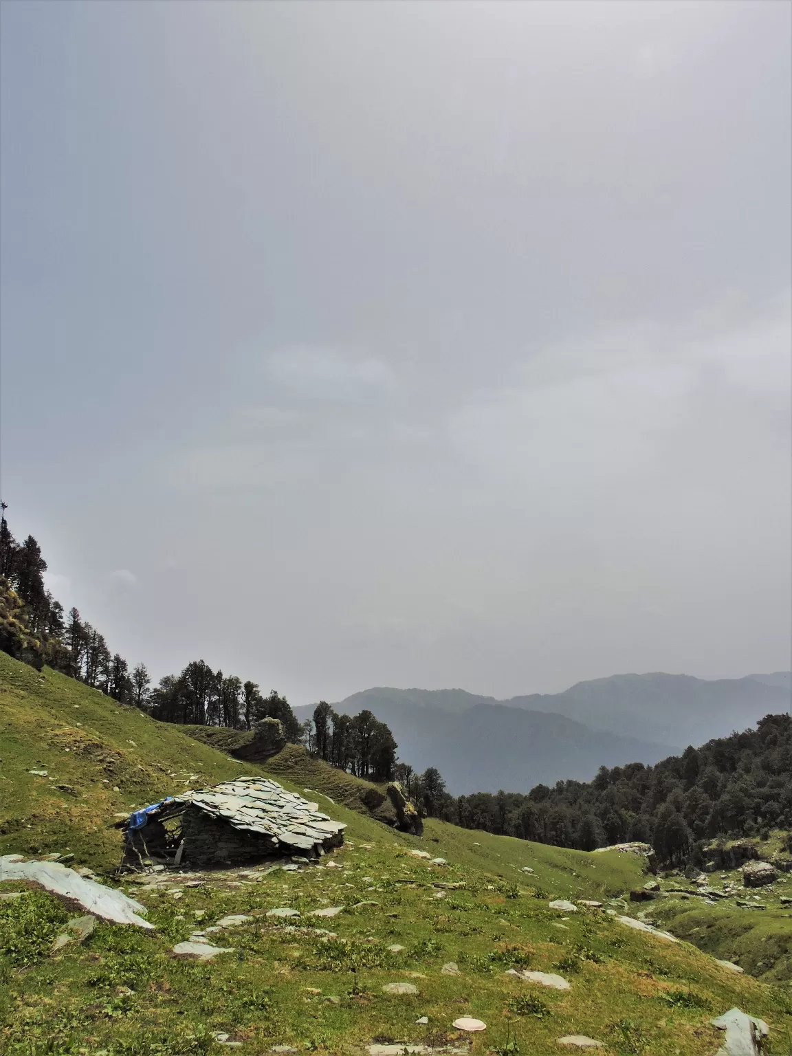 Photo of Shepherd Trails of Great Himalayan Range By Dinesh Kumar