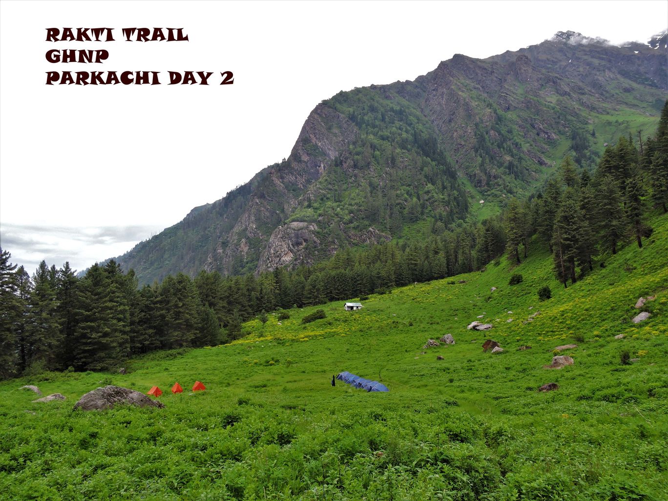 Photo of Rakti Glacier Trek Great Himalayan National Park By Dinesh Kumar