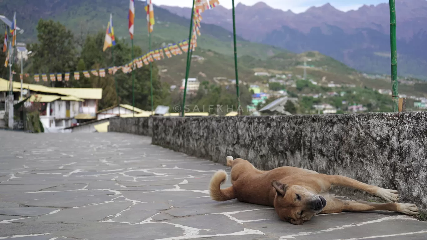 Photo of Tawang By Saif Khan