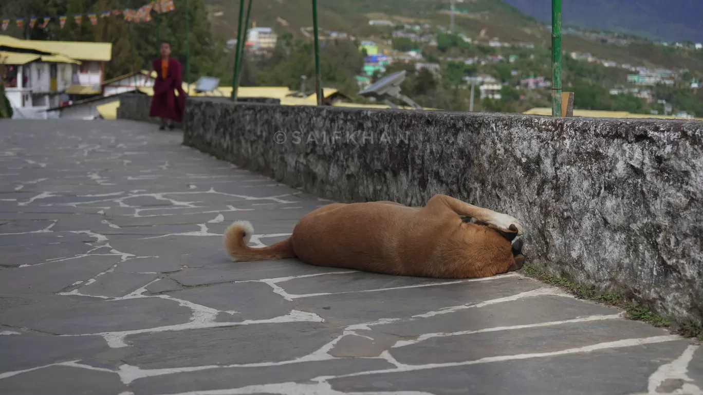 Photo of Tawang By Saif Khan
