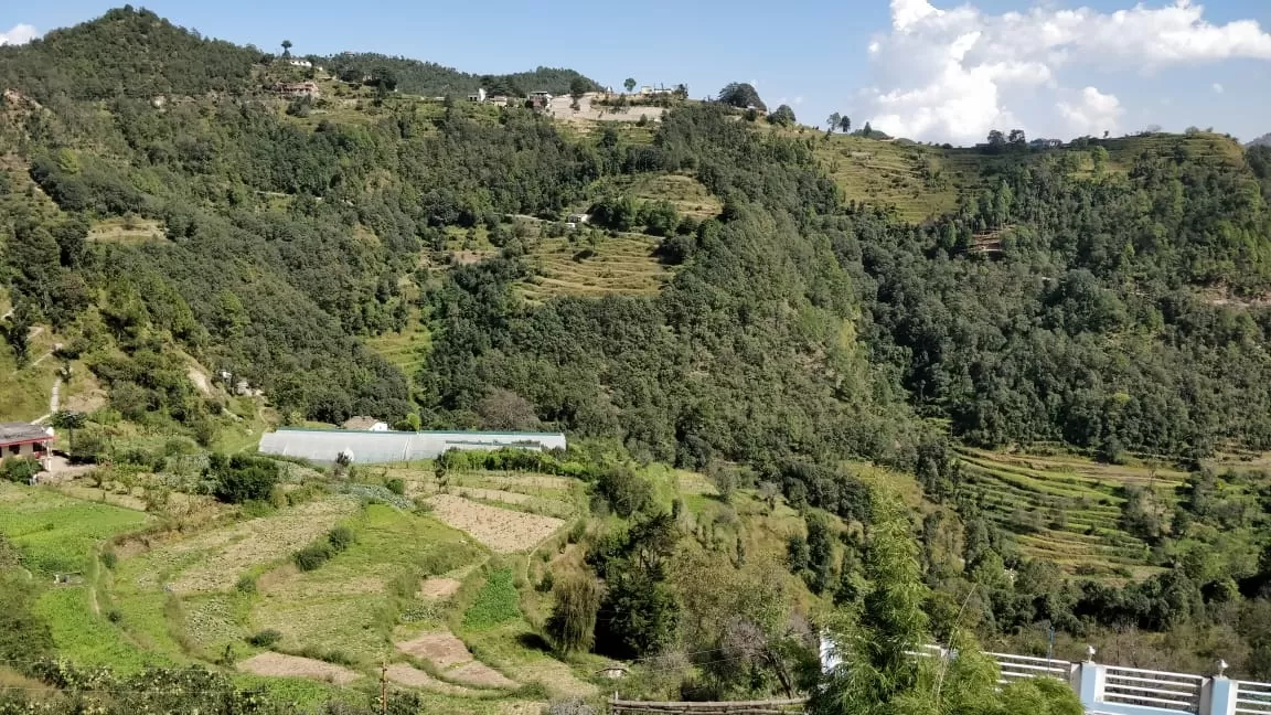 Photo of Mukteshwar By Meenakshi Rajiv Lochan