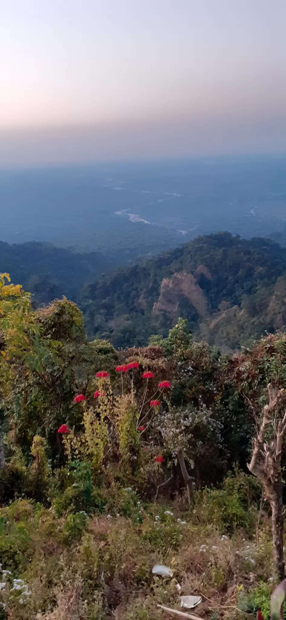 Photo of Lepchakha By Sutanuka Chattaraj