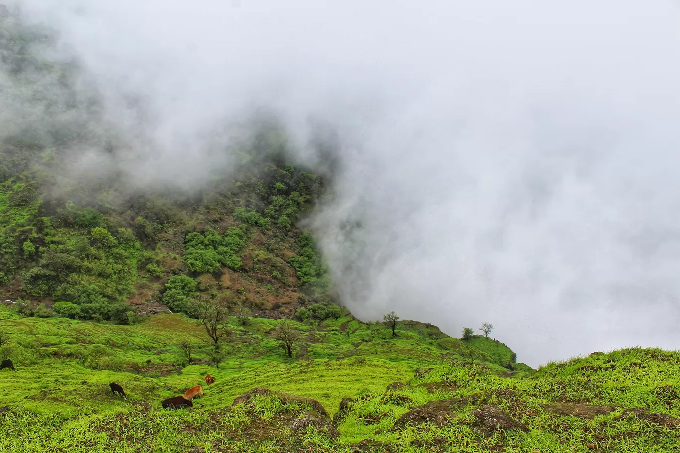 Photo of Raigad Fort By Ashish Singh
