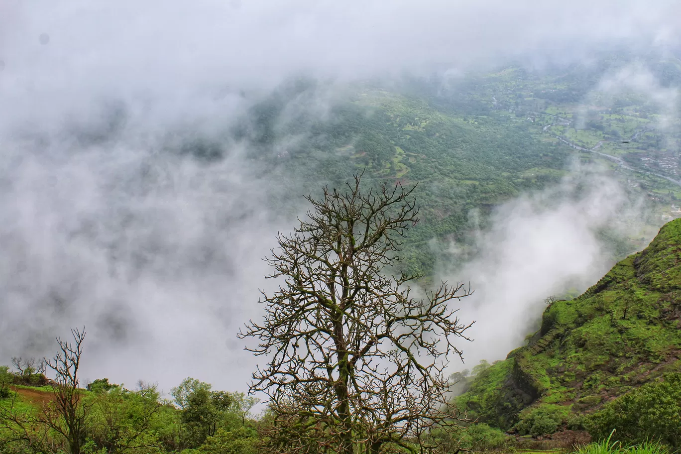 Photo of Raigad Fort By Ashish Singh