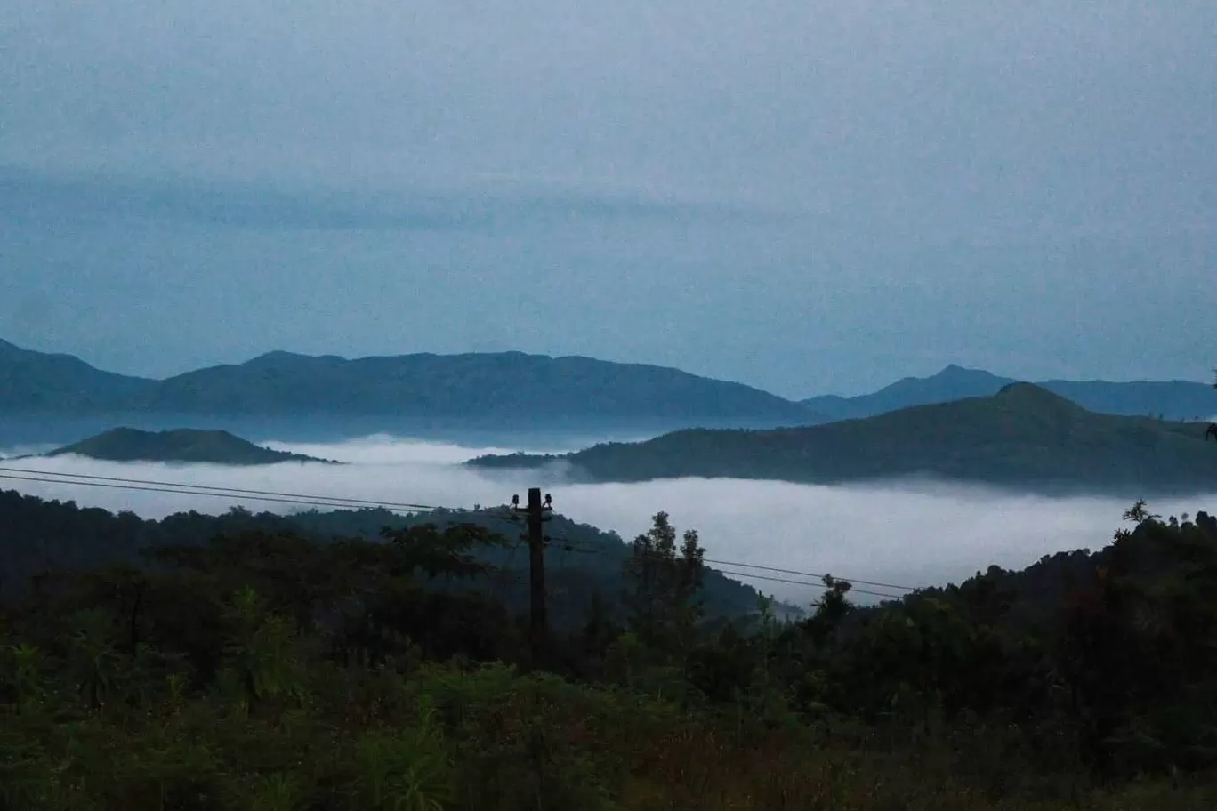 Photo of Kudremukha National Park By Prithviraj K Patil