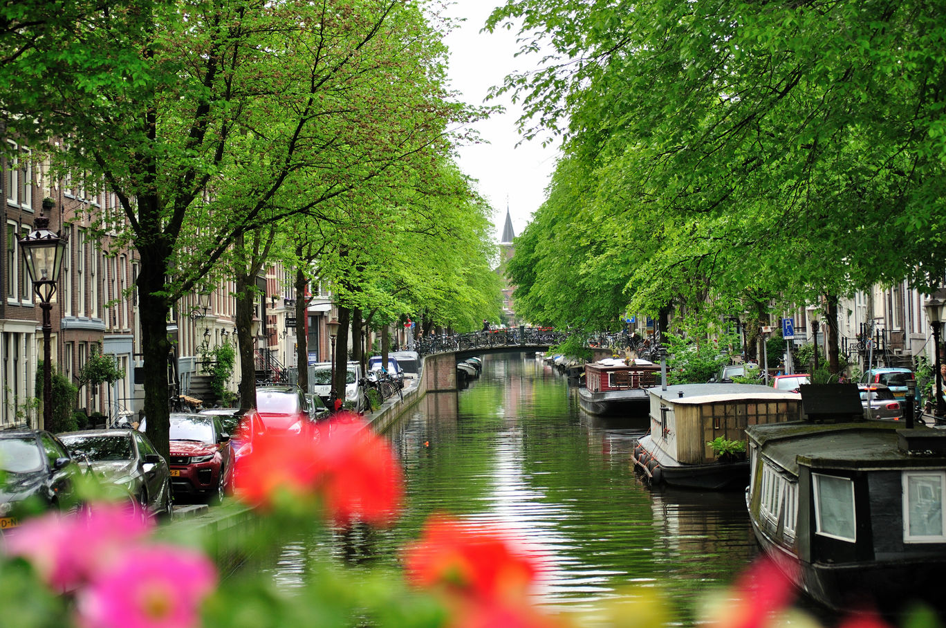 Photo of Amsterdam By Manish Ayachit