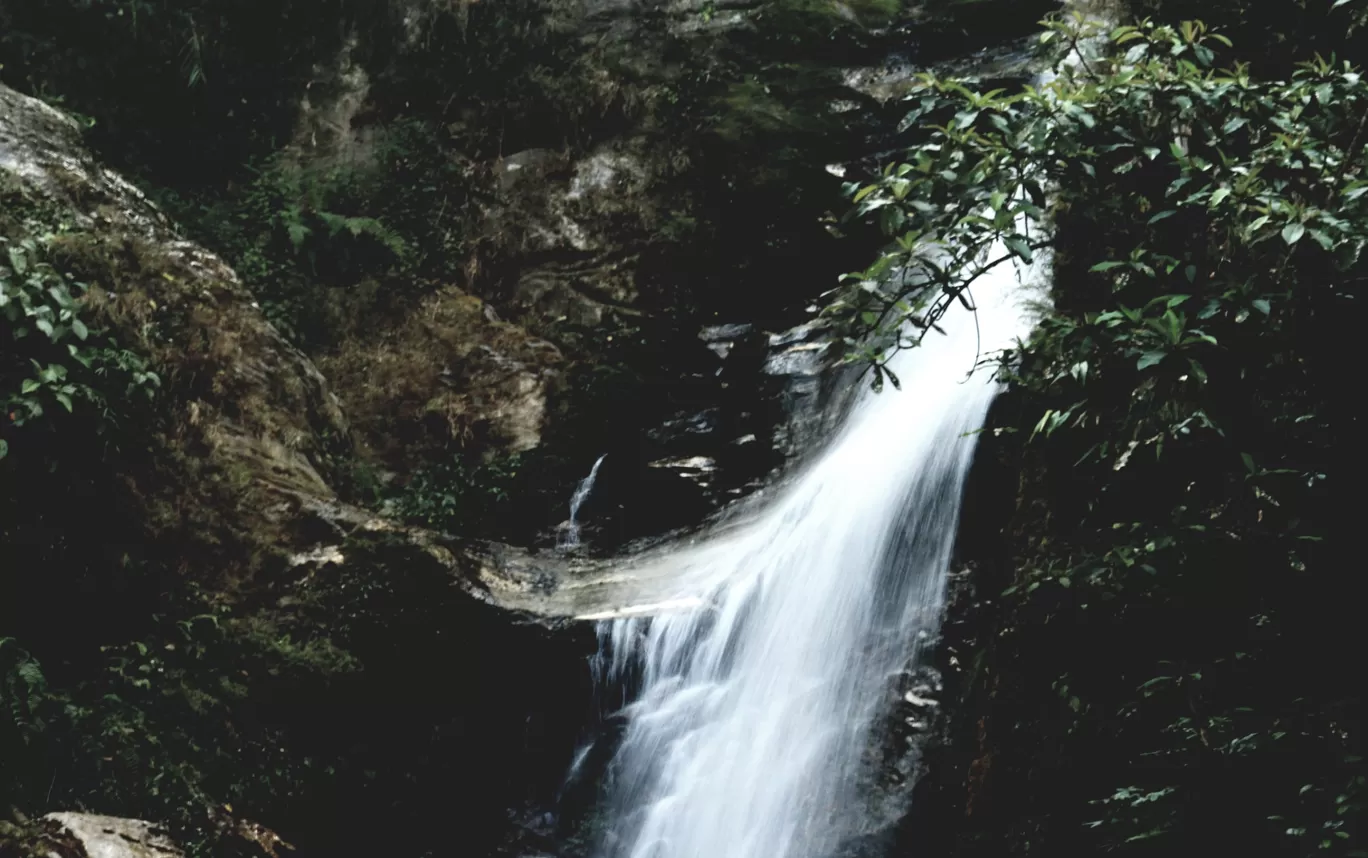 Photo of Kolakham By Shibsankar Saha