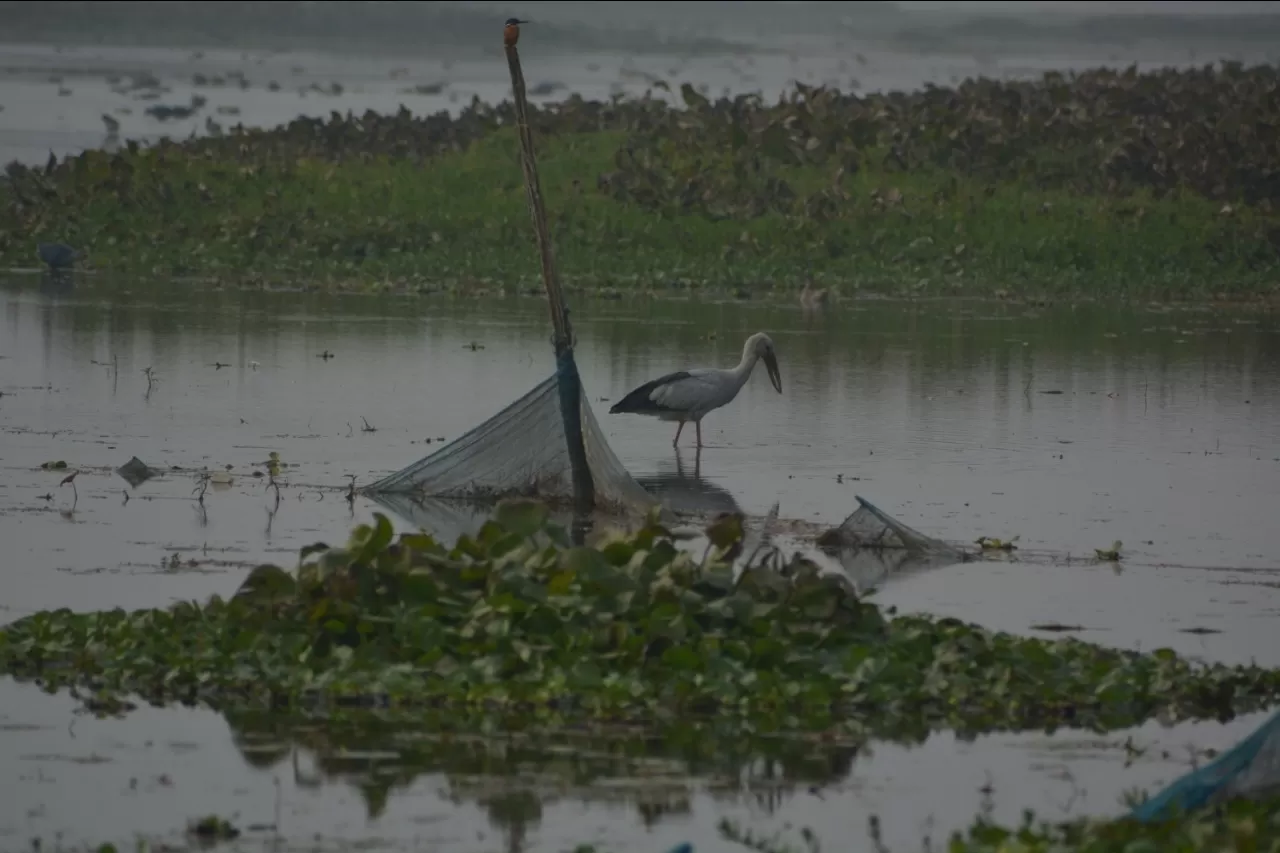 Photo of Chupi Kasthashali Pakhiralay By Biswadip Chattopadhyay
