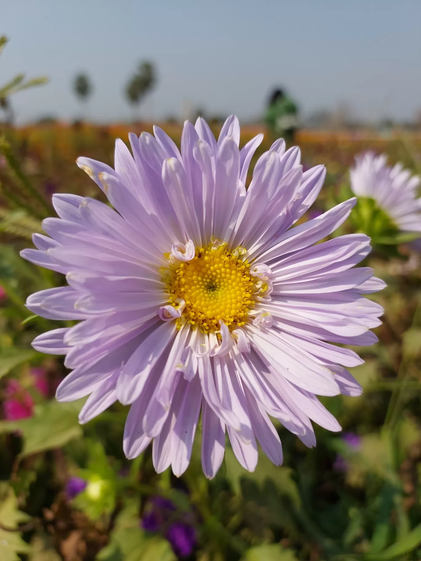 Photo of Khirai By Biswadip Chattopadhyay