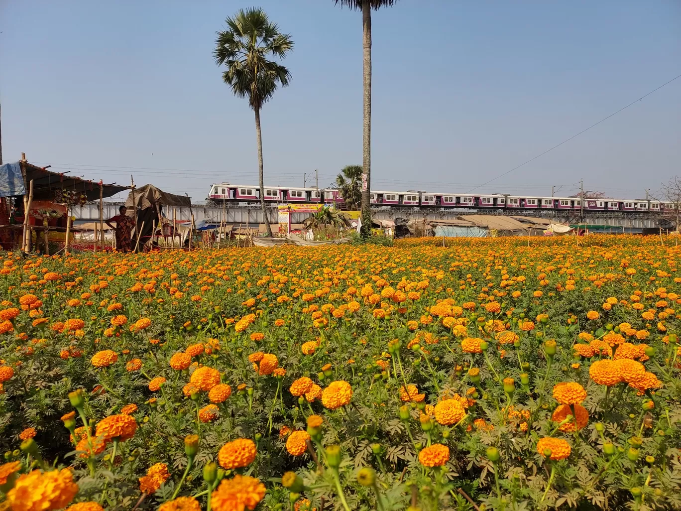 Photo of Khirai By Biswadip Chattopadhyay