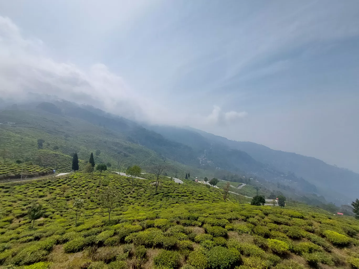 Photo of Sittong By Biswadip Chattopadhyay