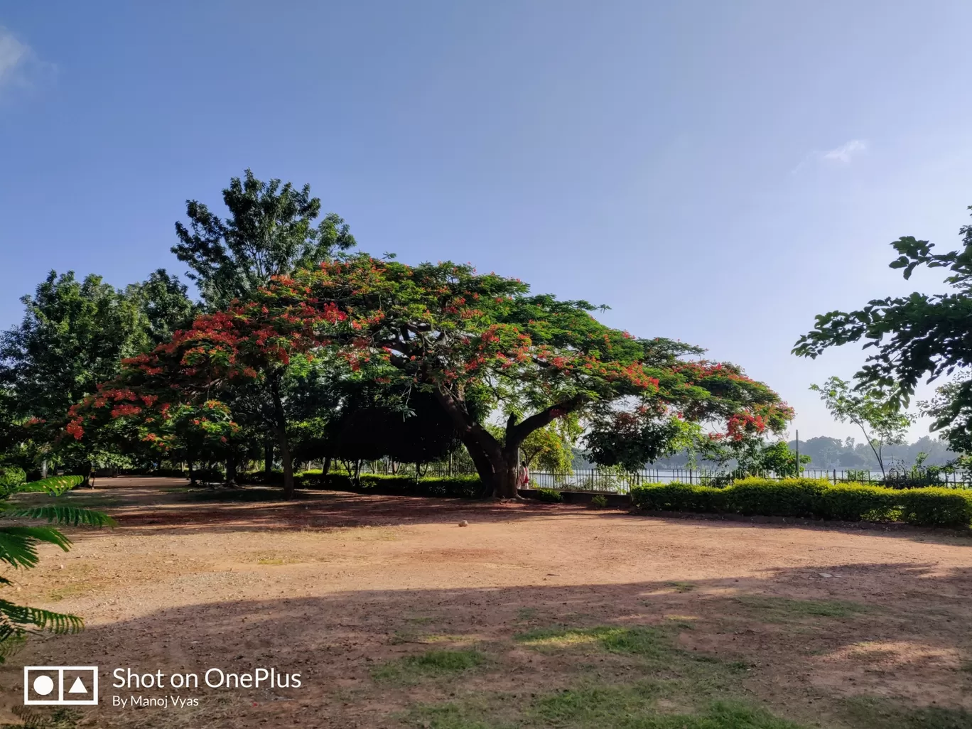 Photo of Ulsoor Lake By Manoj Vyas