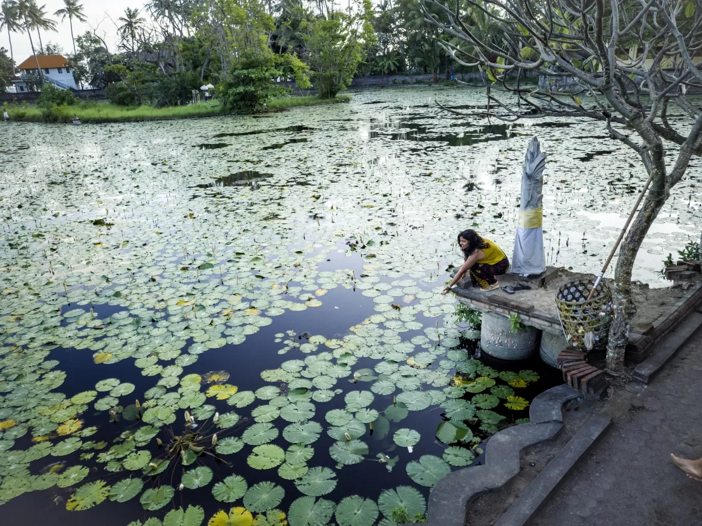 Photo of Bali By Aayushi Prakash 