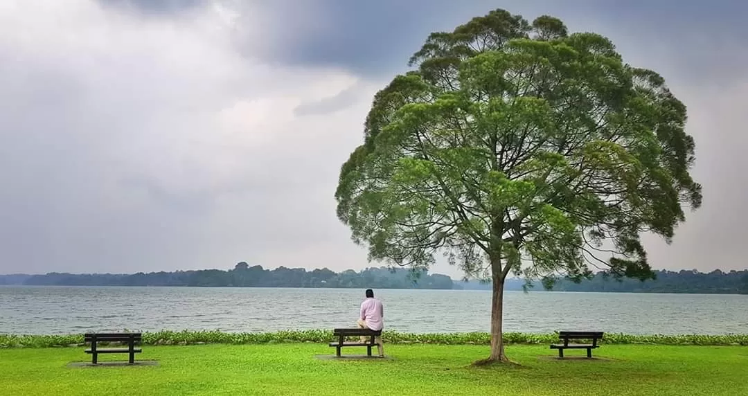 Photo of Singapore By Shahzad Siddiqui