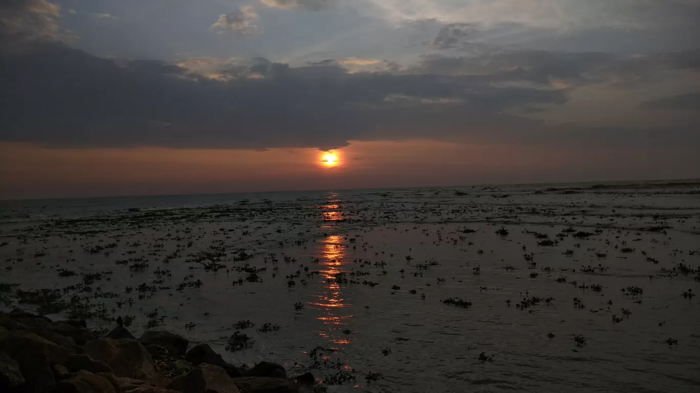 Photo of Fort Kochi By Midhun