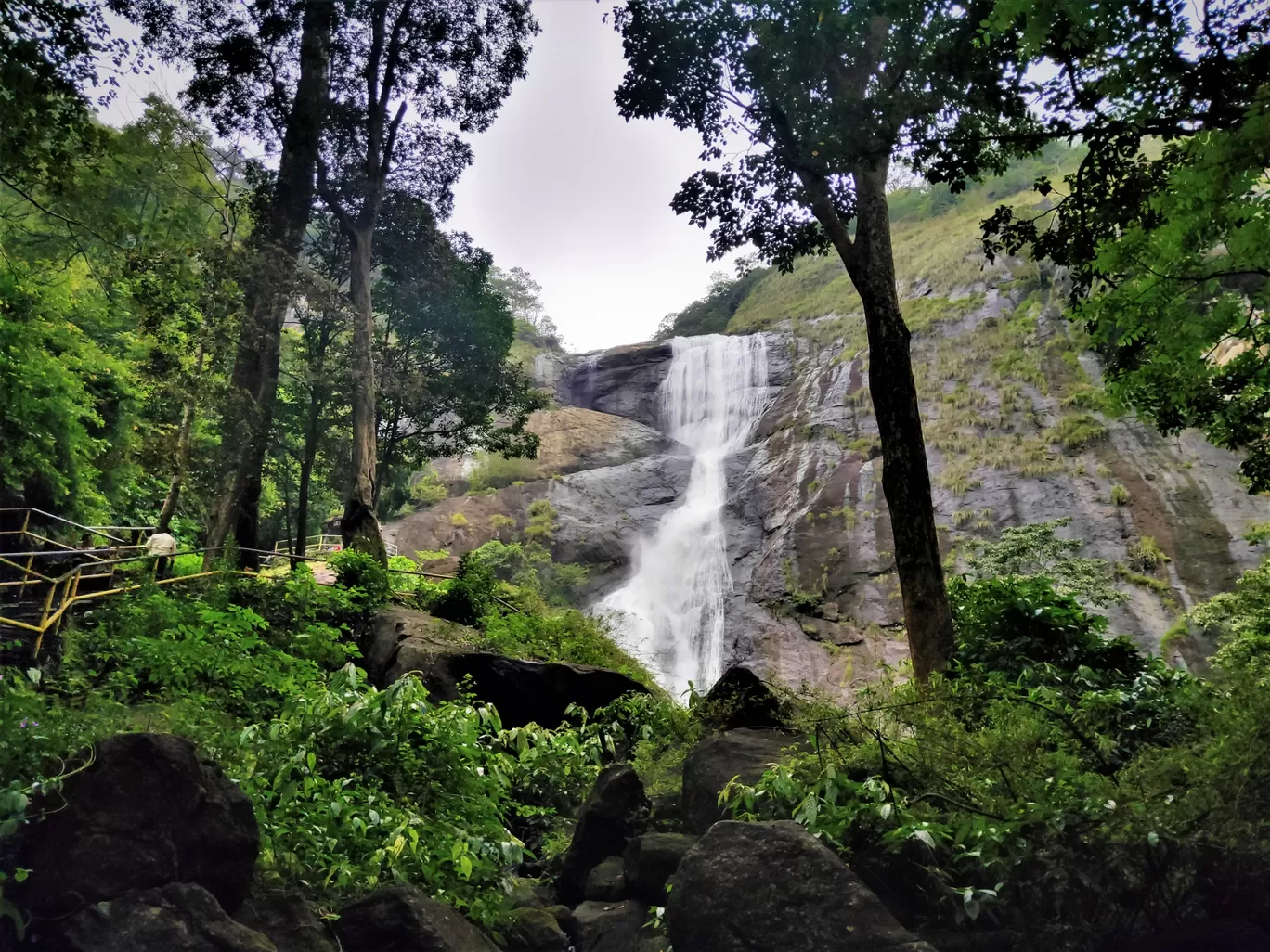 Photo of Athirappilly Water Falls By Midhun