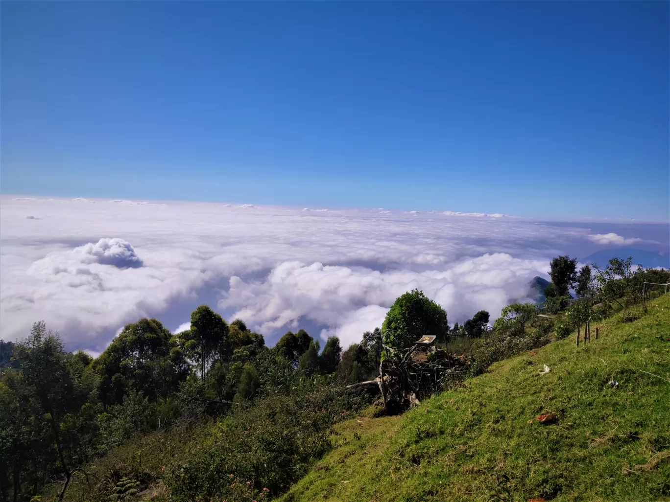 Photo of Athirappilly Water Falls By Midhun