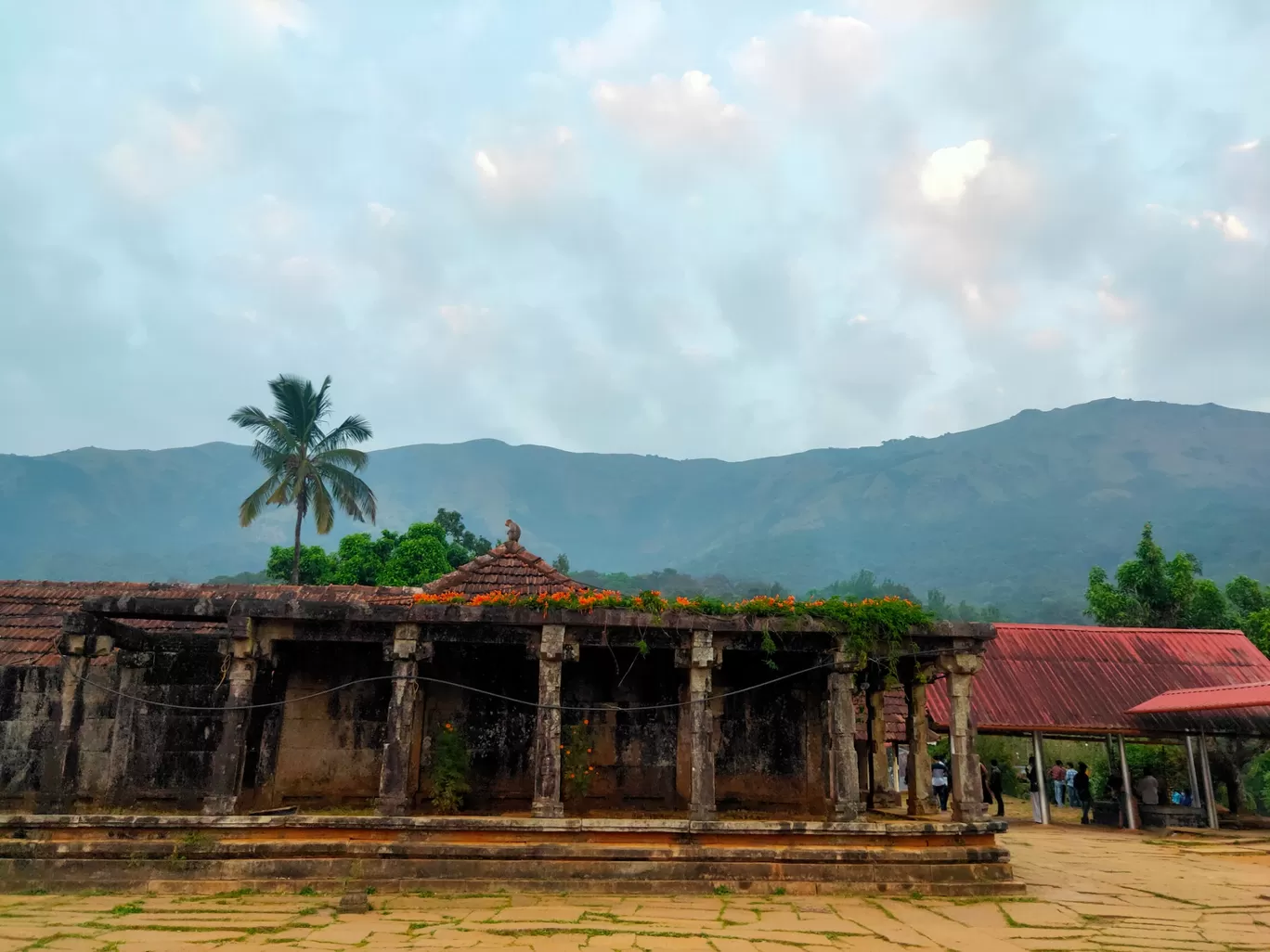 Photo of Munnar By Midhun