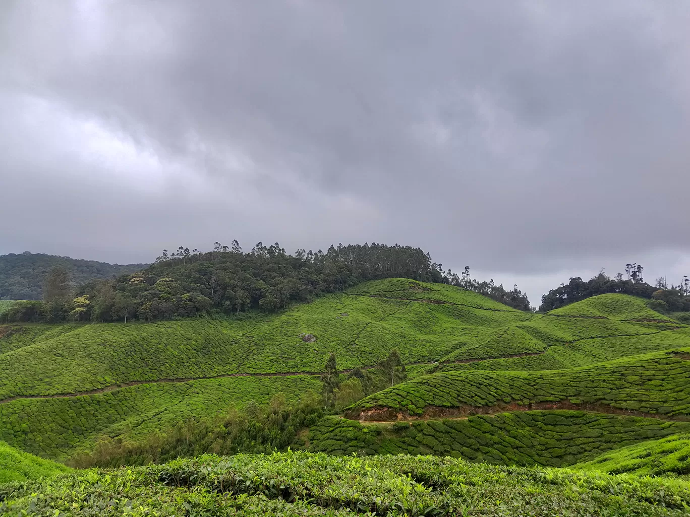 Photo of Kochi By Midhun