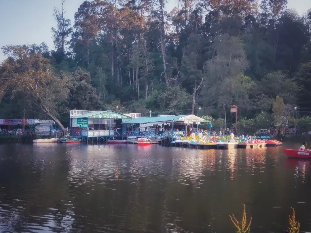 Photo of Malampuzha Dam By Midhun