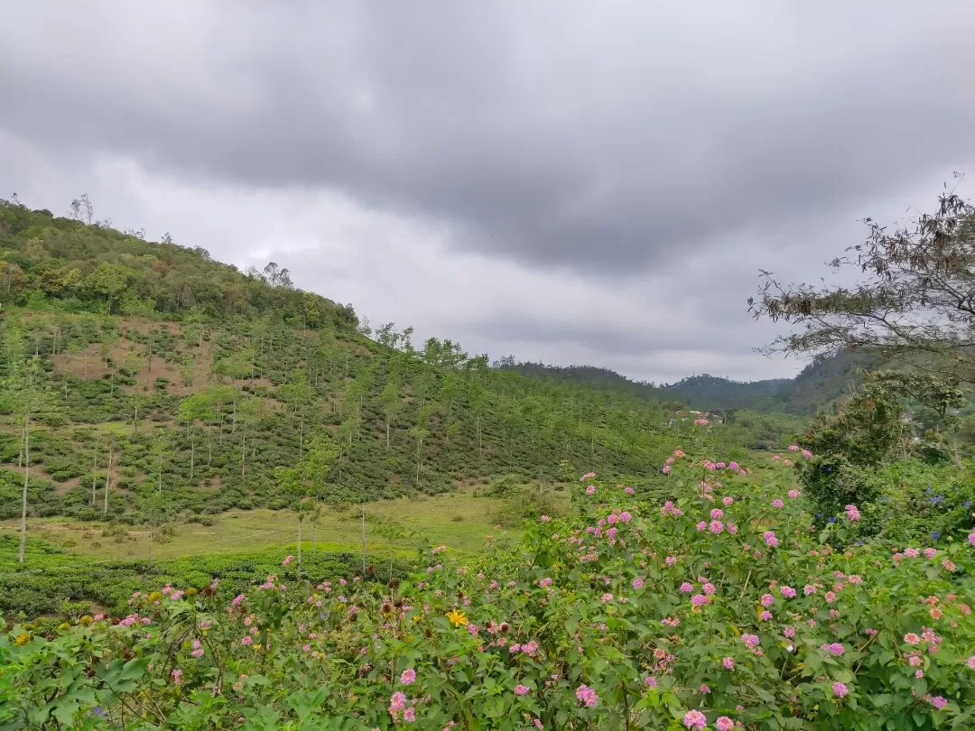 Photo of Thekkady By Midhun