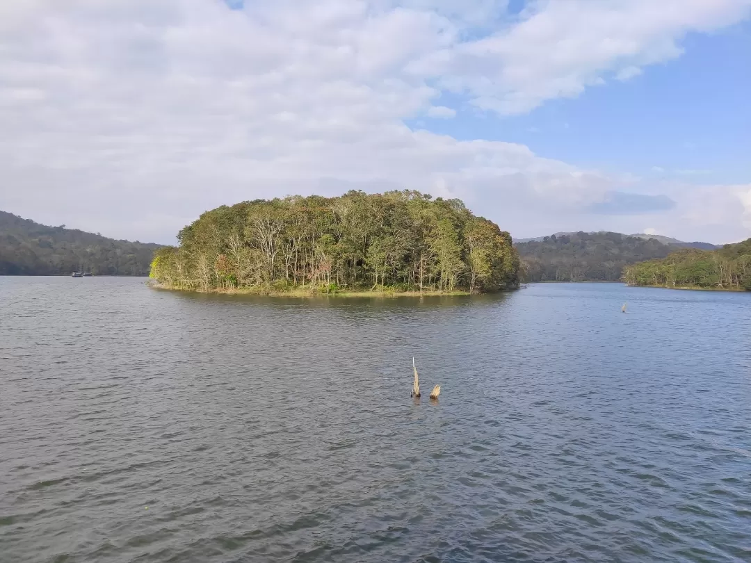 Photo of Thekkady By Midhun