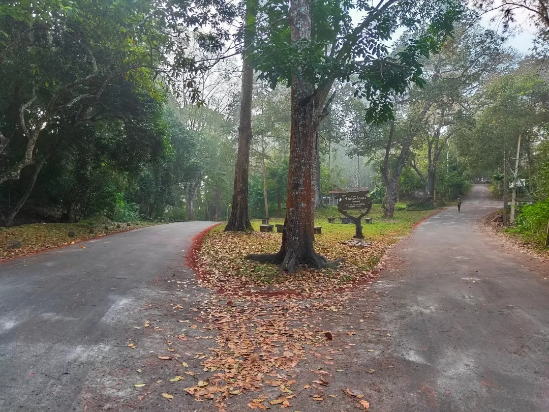 Photo of Thekkady By Midhun