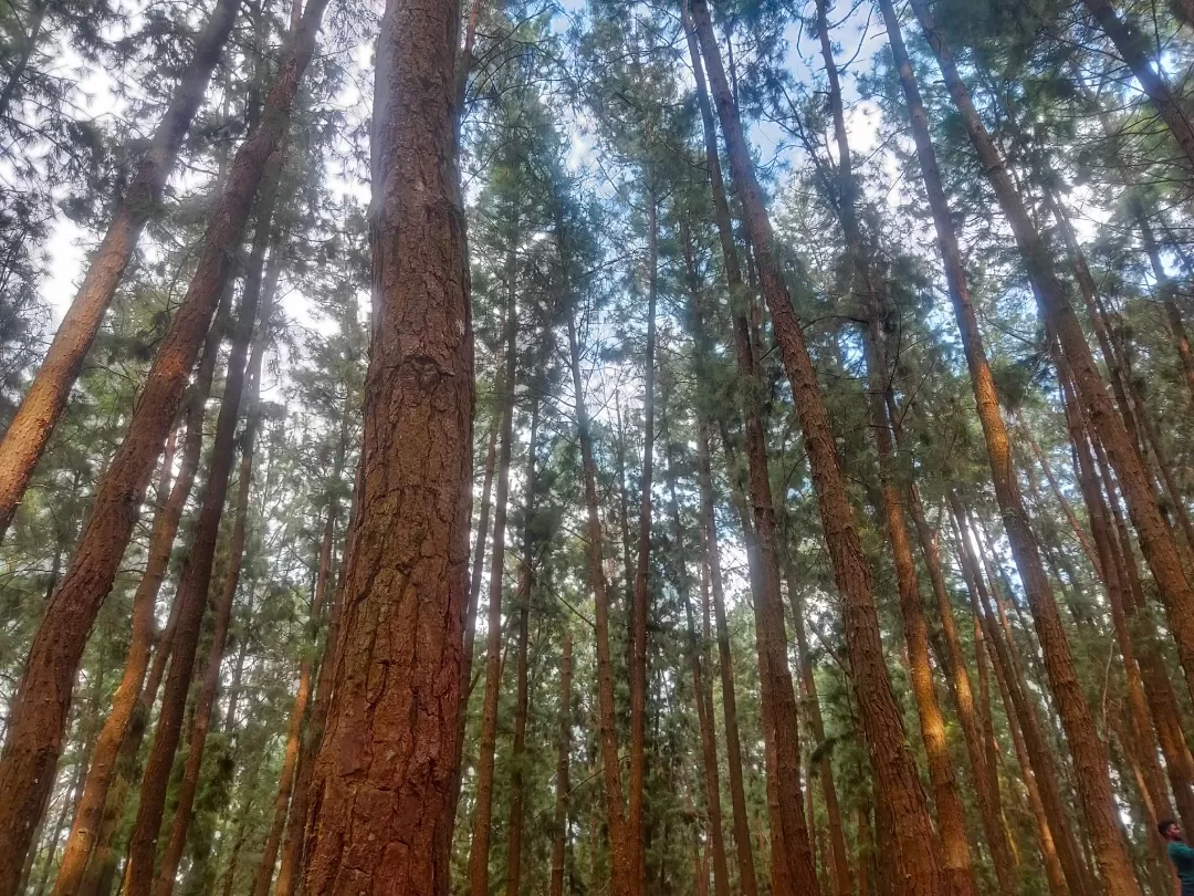 Photo of Thekkady By Midhun