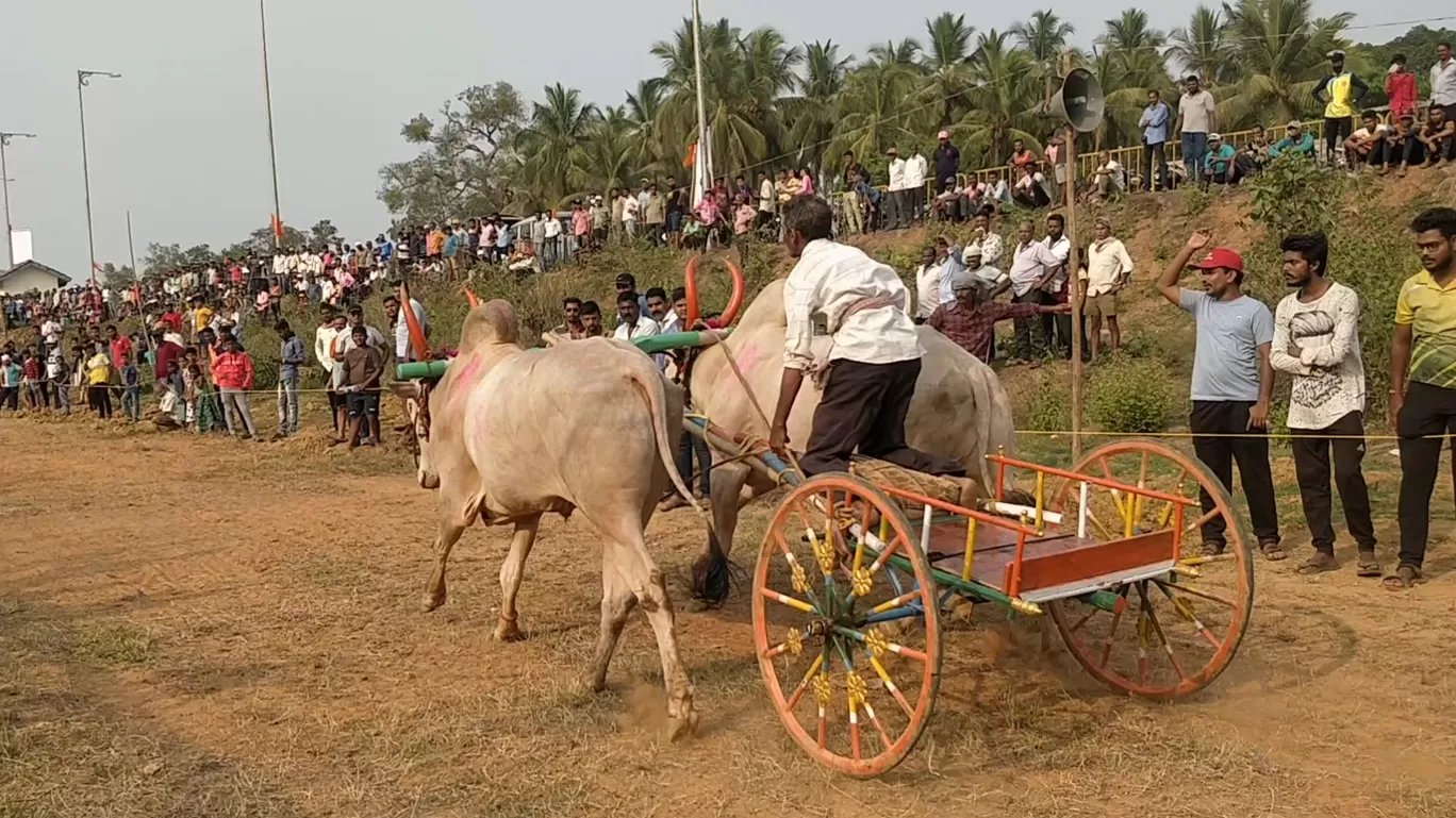 Photo of Kudal By Mady Velkar