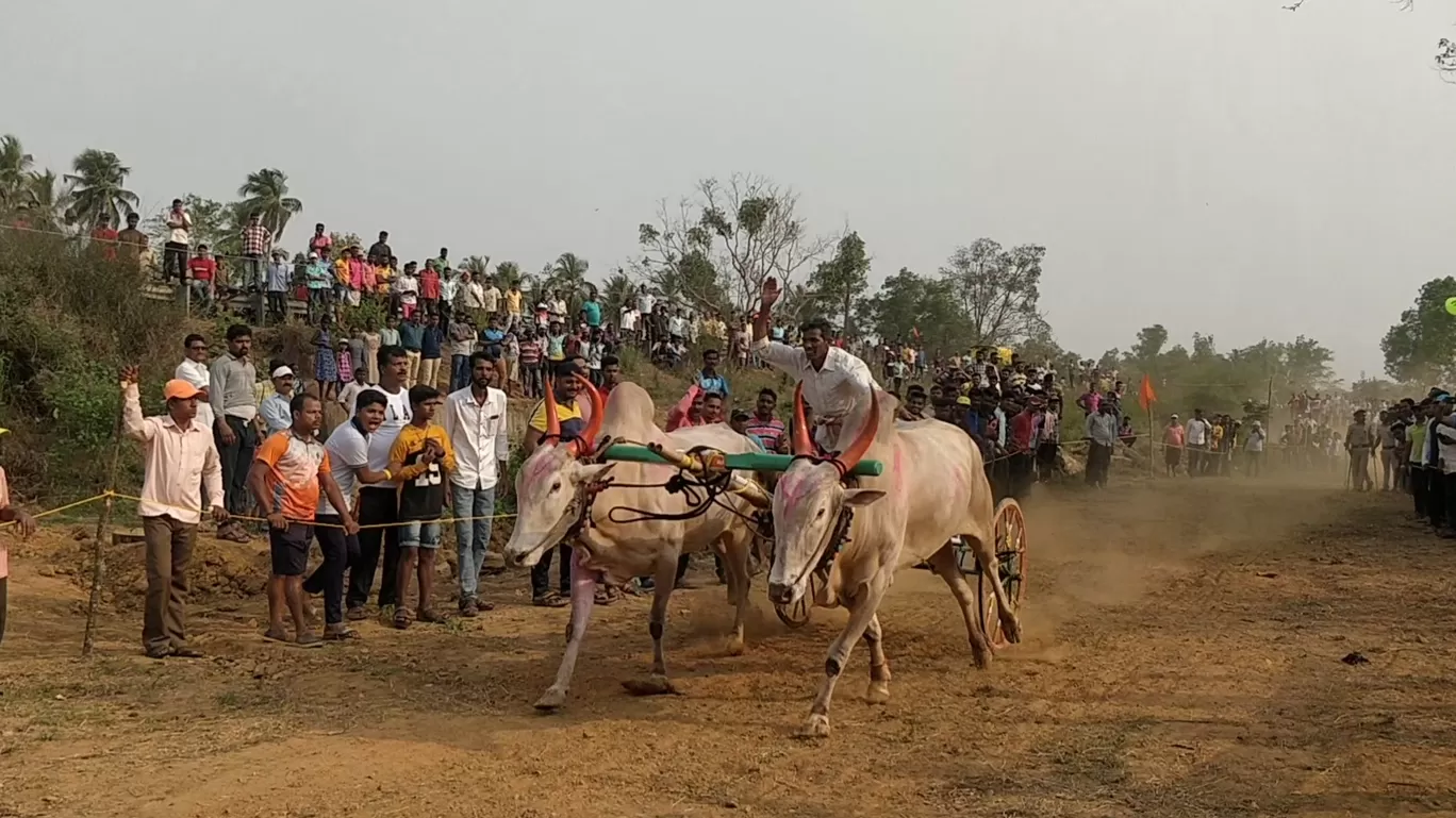 Photo of Kudal By Mady Velkar