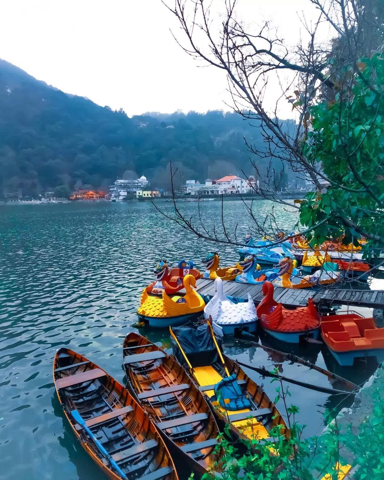 Photo of Nainital By tushaar