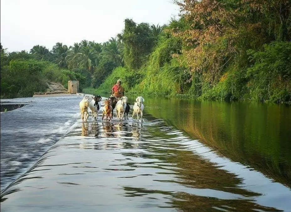 Photo of Chennai By Santosh Kushwah