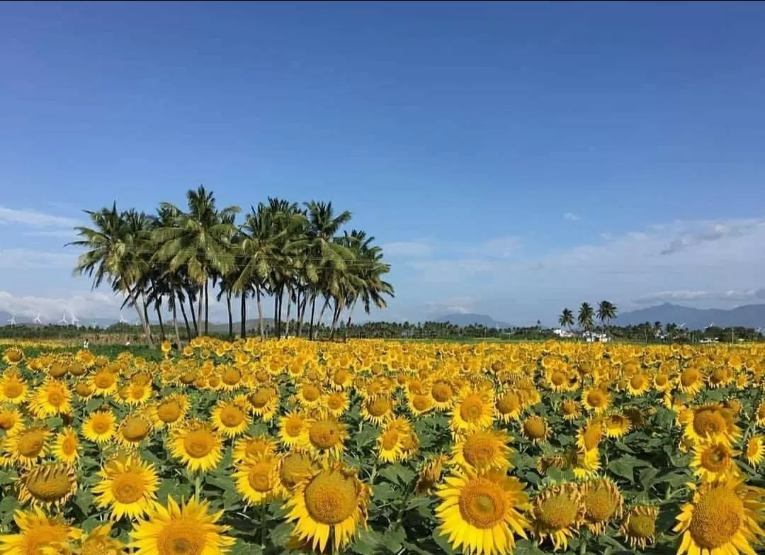 Photo of Chennai By Santosh Kushwah