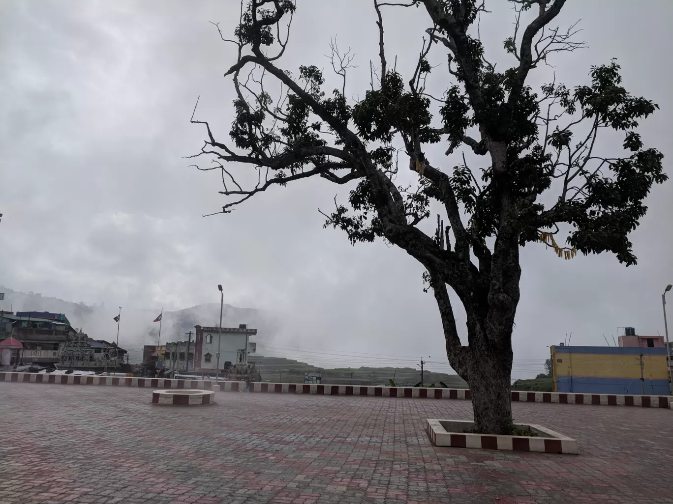 Photo of Kodaikanal By Raja Vignesh