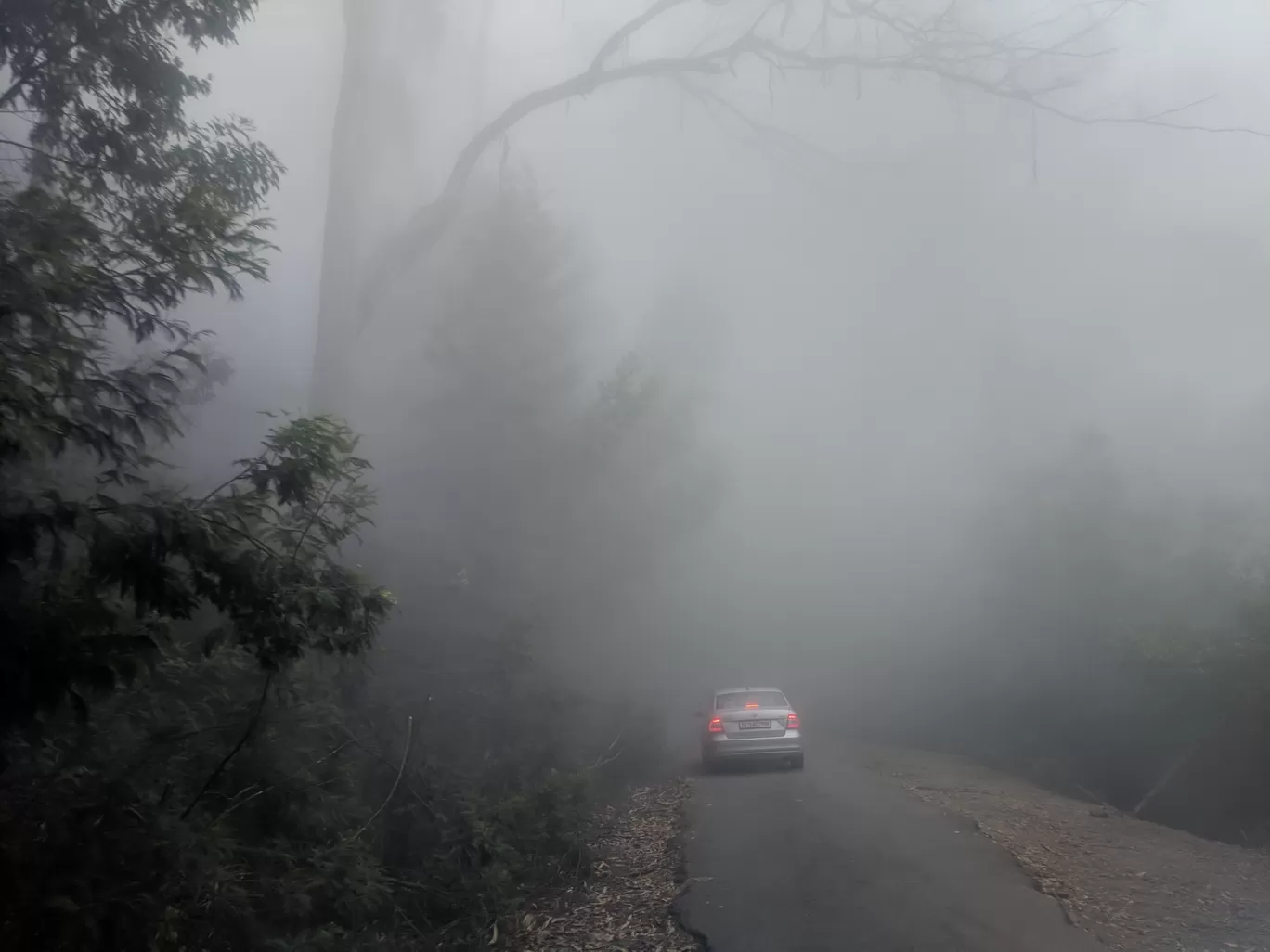 Photo of Kodaikanal By Raja Vignesh