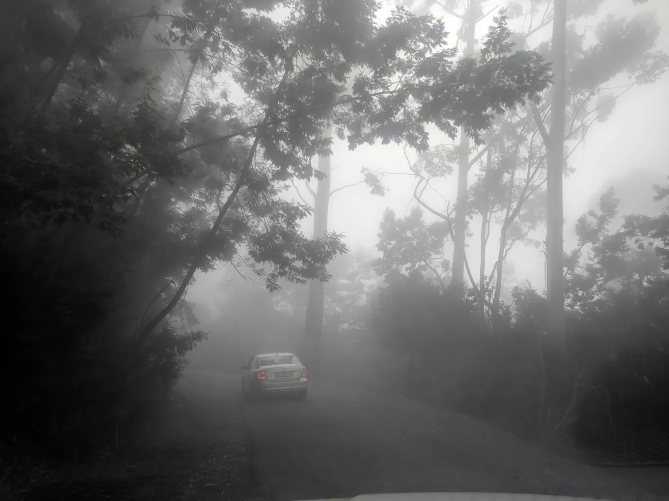Photo of Kodaikanal By Raja Vignesh
