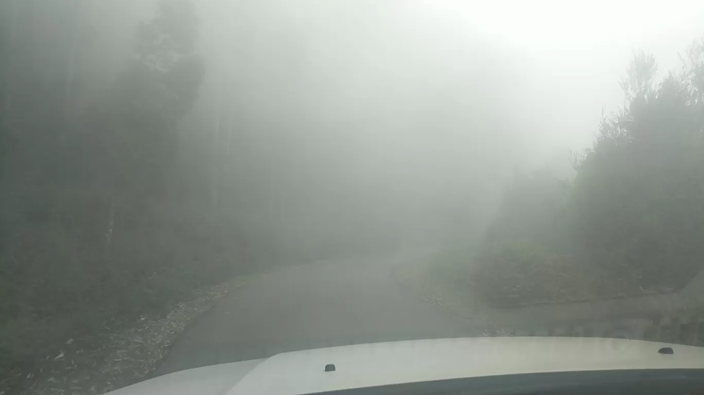 Photo of Kodaikanal By Raja Vignesh